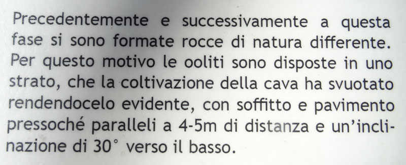 Percorso storico-naturalistico......Bosco Caproni